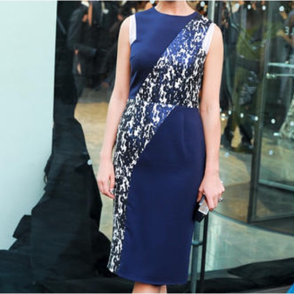 Misha Nonoo Animal Print Shimmer Sheath Dress size 4